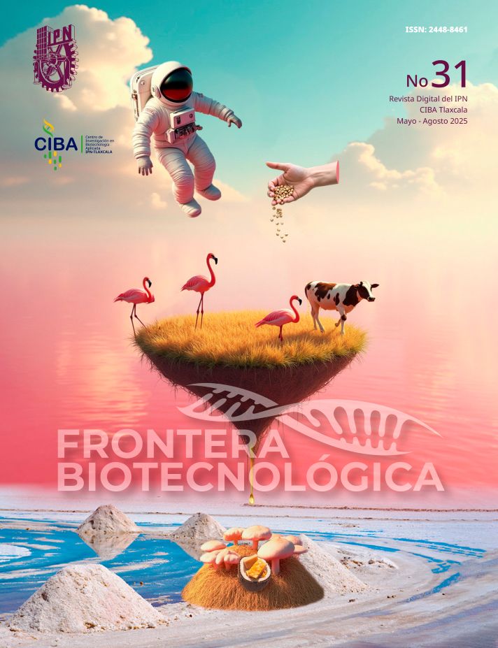 volumen 31
