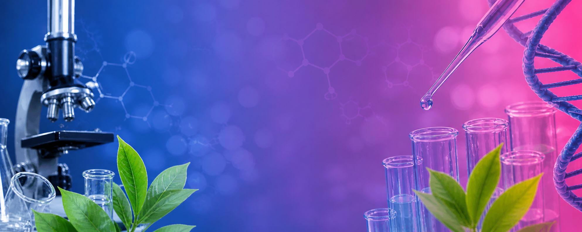 Revista Frontera Biotecnológica